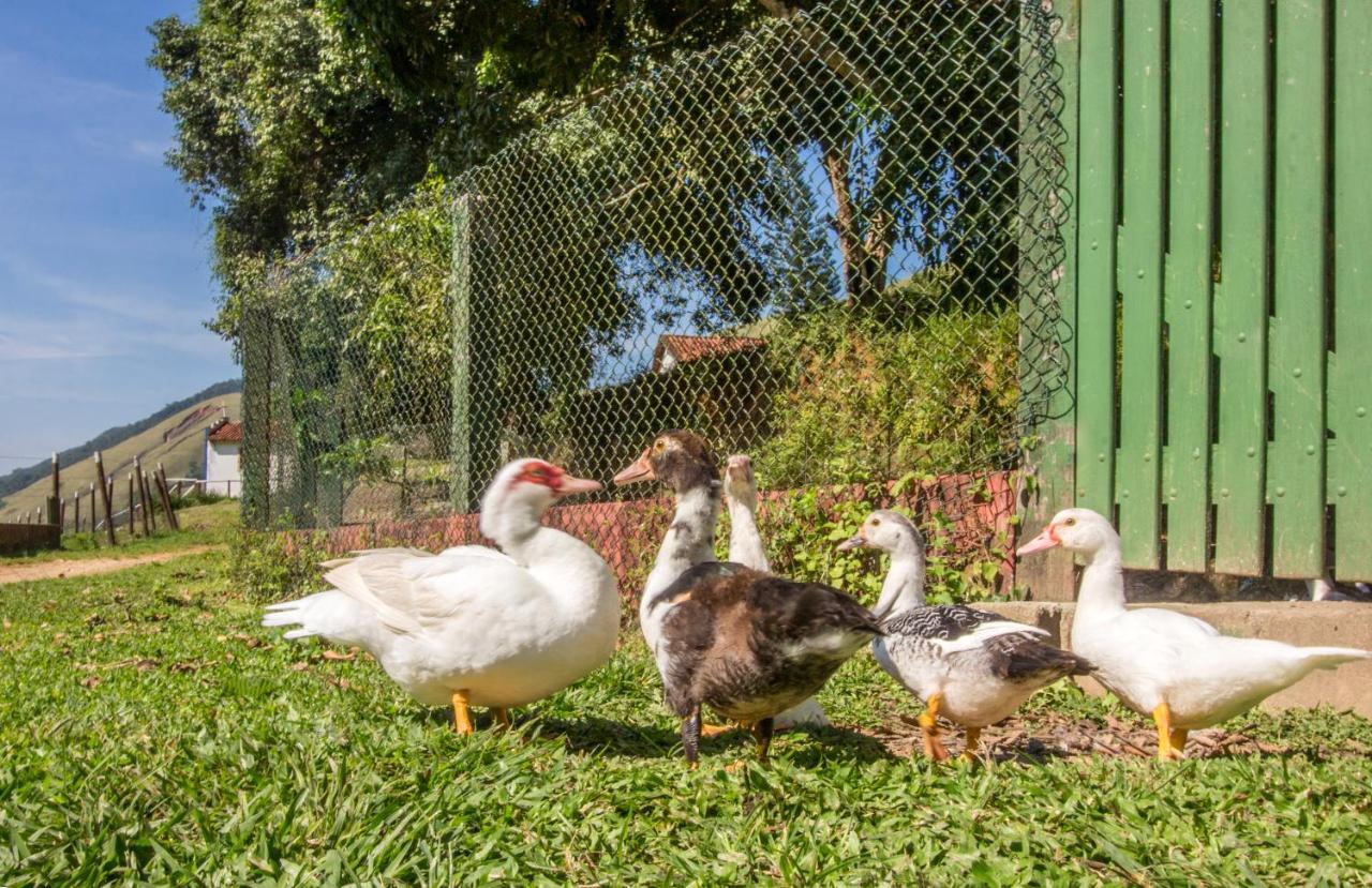 Hotel Fazenda Canto Da Serra Jaconé Exteriér fotografie