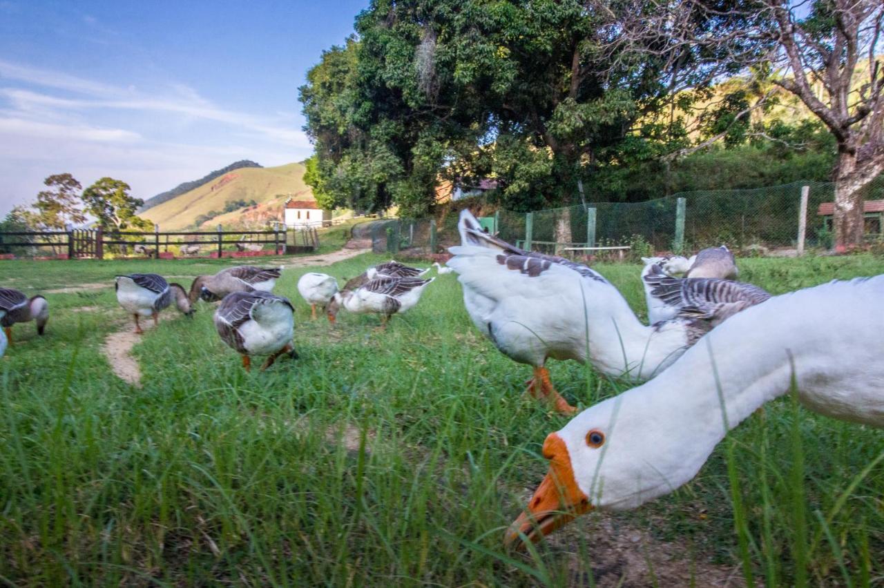 Hotel Fazenda Canto Da Serra Jaconé Exteriér fotografie