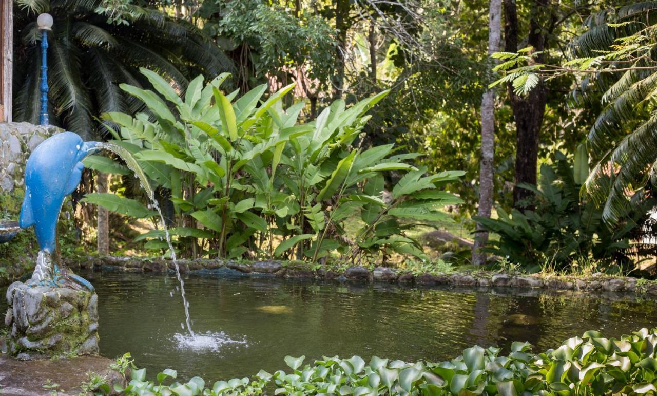 Hotel Fazenda Canto Da Serra Jaconé Exteriér fotografie